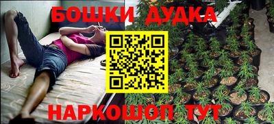 стаф Моздок