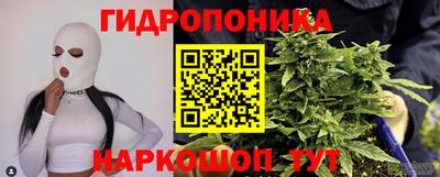 стаф Моздок