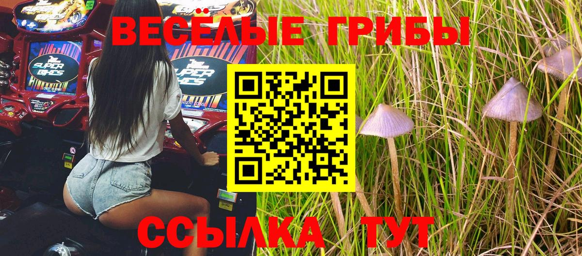 Торжок  Псилоцибиновые грибы мицелий  Вход с VPN 