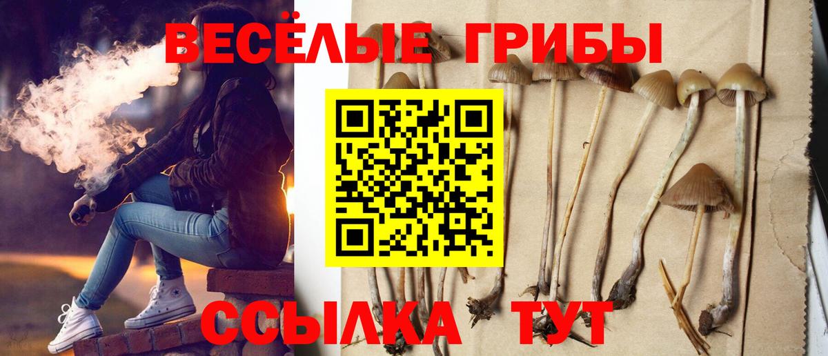 Марихуана  Вход с VPN  Cocaine  МДМА  Торжок  Купить наркотики цена  МЕФ кристаллы  ГАШ 